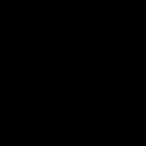 Meet your Posher, Yen